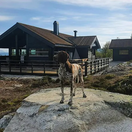 Hojtliggende Med Panoramaudsigt Naer Geilo Дом отдыха